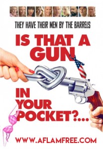 Is That a Gun in Your Pocket? 2016