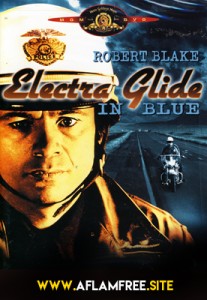 Electra Glide in Blue 1973