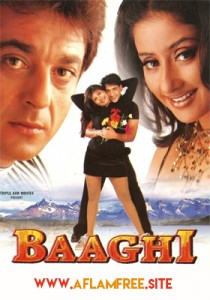 Baaghi 2000