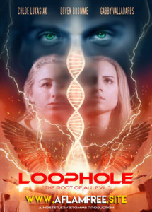 Loophole 2017